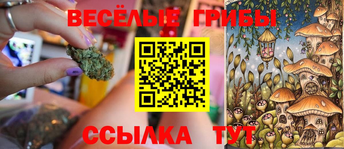 Псилоцибиновые грибы MAGIC MUSHROOMS Фрязино