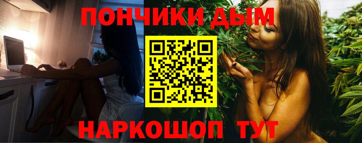 Шишки марихуана LSD WEED  Конопля THC 21%  Бошки Шишки ГИДРОПОН  Фрязино  Вход с VPN  Канабис сатива 